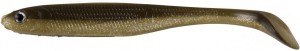 Dam Effzett - Longhorn Arkansas Shiner