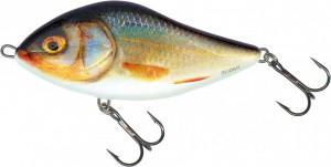 Salmo - Slider Sinking - Real Roach
