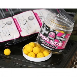 Mainline - High Impact Pop-Up