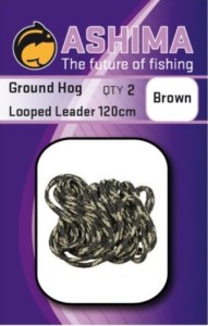 Ashima - Ground-Hog Leader