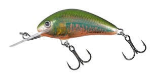 Salmo - Hornet Floating 5cm